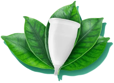 FP-product-in-leafs FP-product-in-leafs